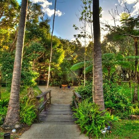 Broken River Mountain Resort Eungella Екстериор снимка